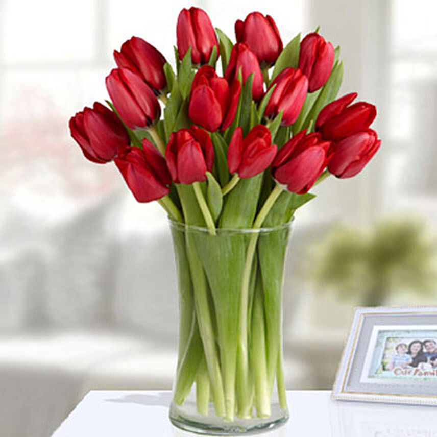 20 Red Tulip Arrangement: Christmas Gifts