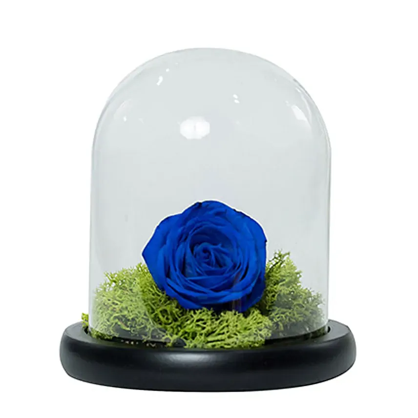 Elegant Blue Rose: Anniversary Flowers to Ajman