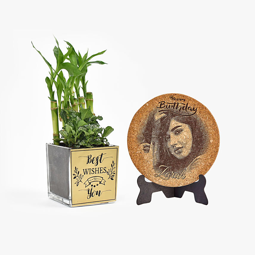 Best Wishes Plant n Personalised Plaque Combo: 