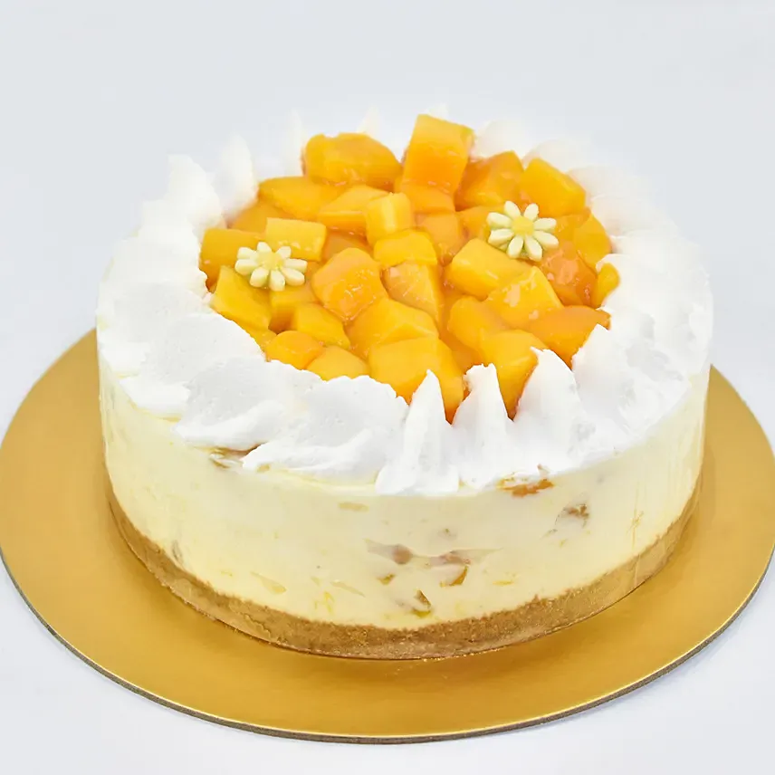 Special Mango Cheesecake: 