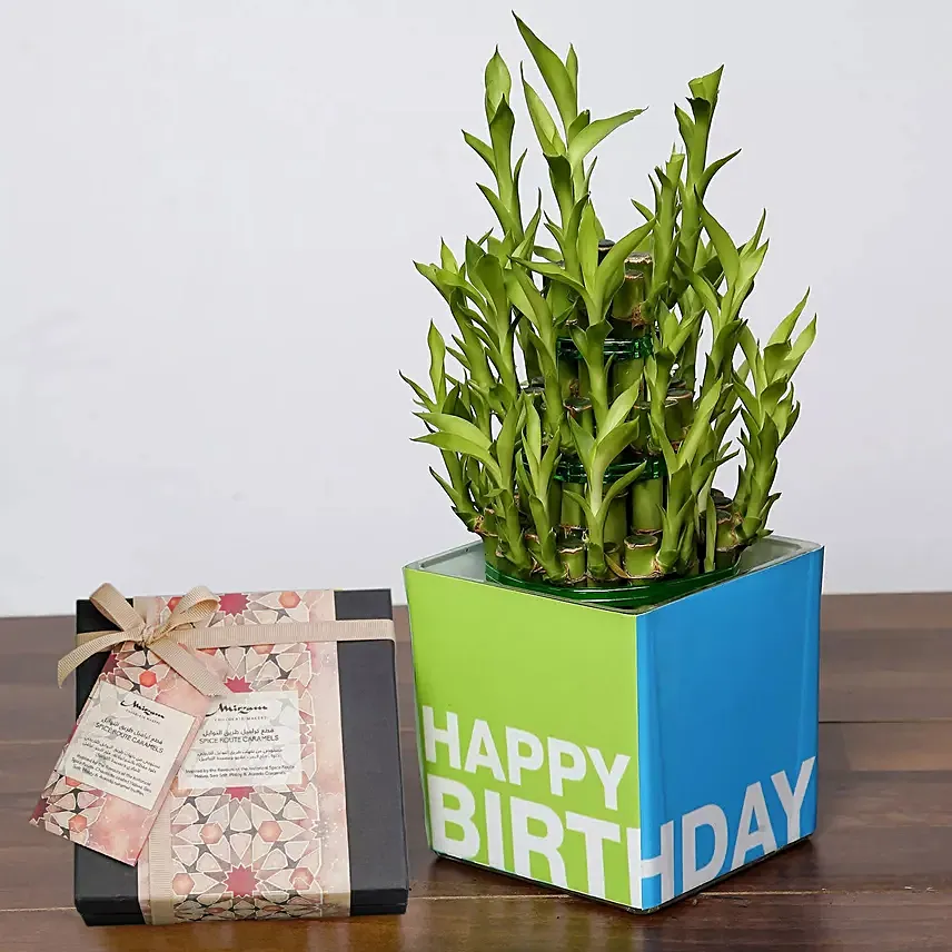3 Layer Bamboo Plant and Mirzam Chocolates for Birthday: Chocolates for Women
