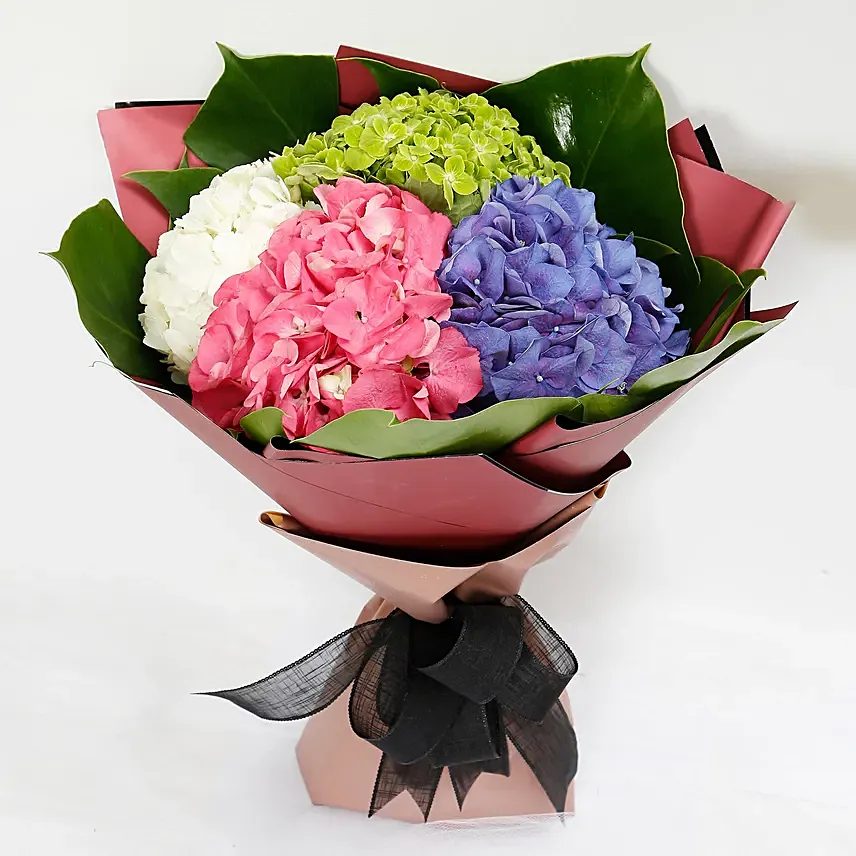 Beautiful 4 Colour Hydrangea Bouquet: Gifts to Al Ain