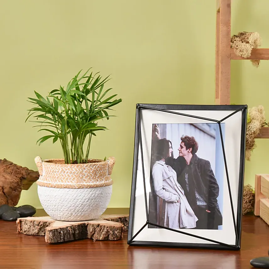 Chamadorea Plant with Photo Frame: Gifts for Boyfriend