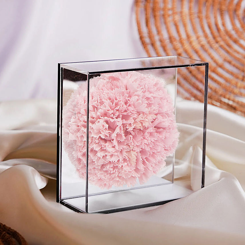Preserved Carnation in Mirror Box: Forever Roses