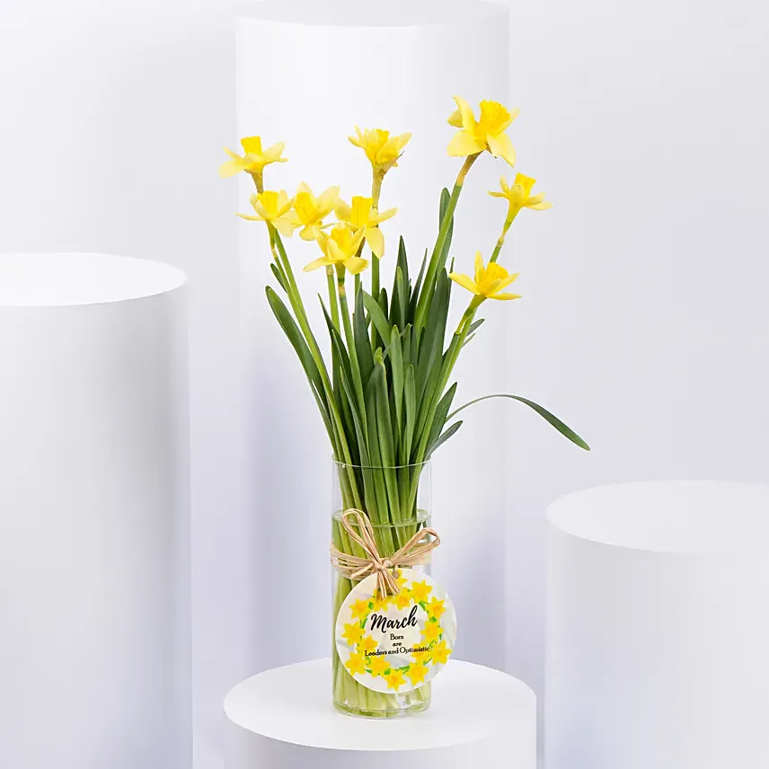 Daffodils Vase Arrangement for Birthday: Birthday Gifts