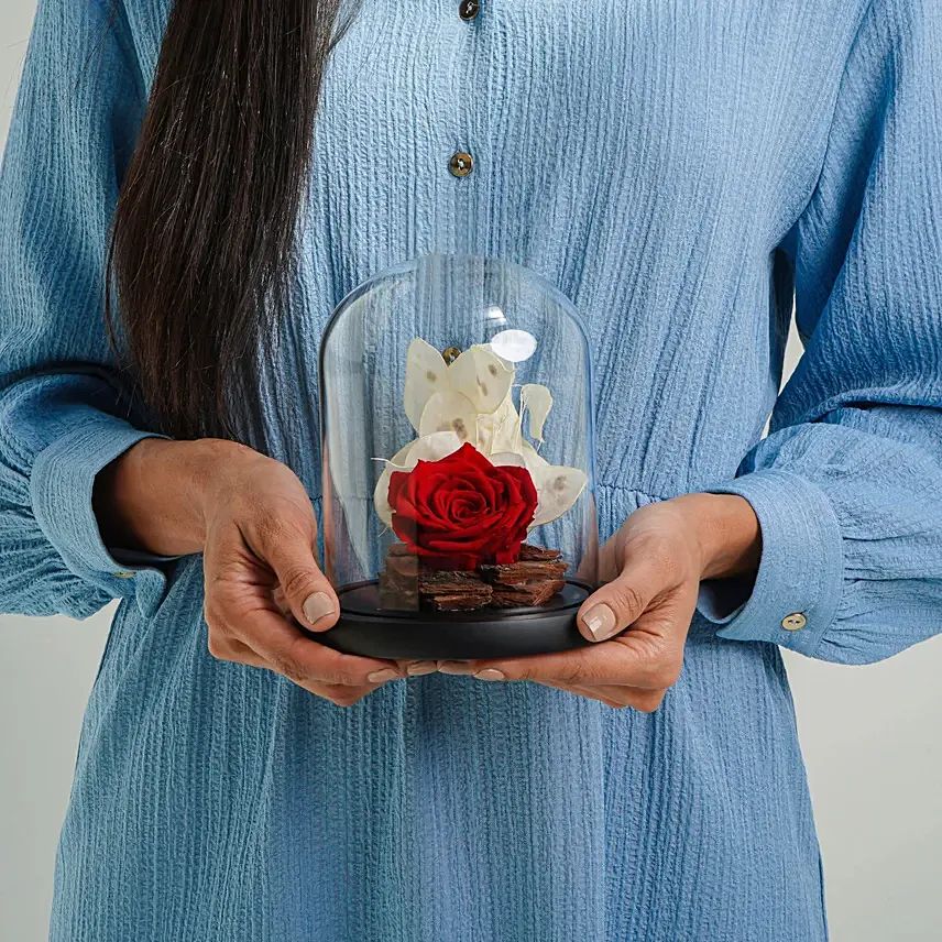 Red Forever Rose In Glass Dome: Gifts Under 199 AED
