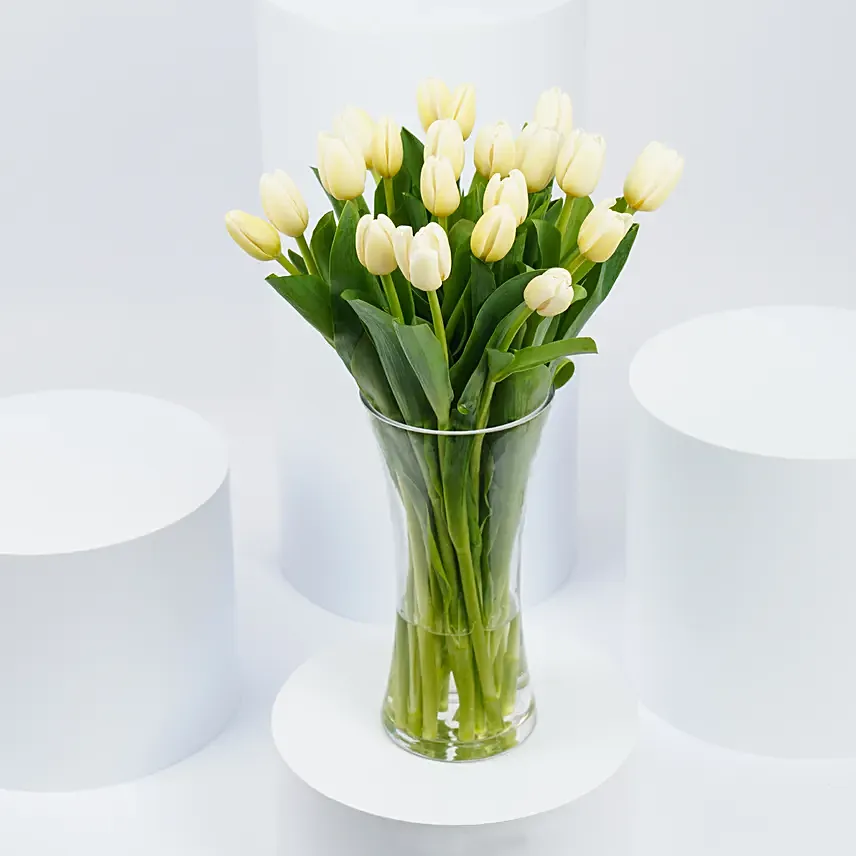 20 White Tulips: Anniversary Flowers to Ajman