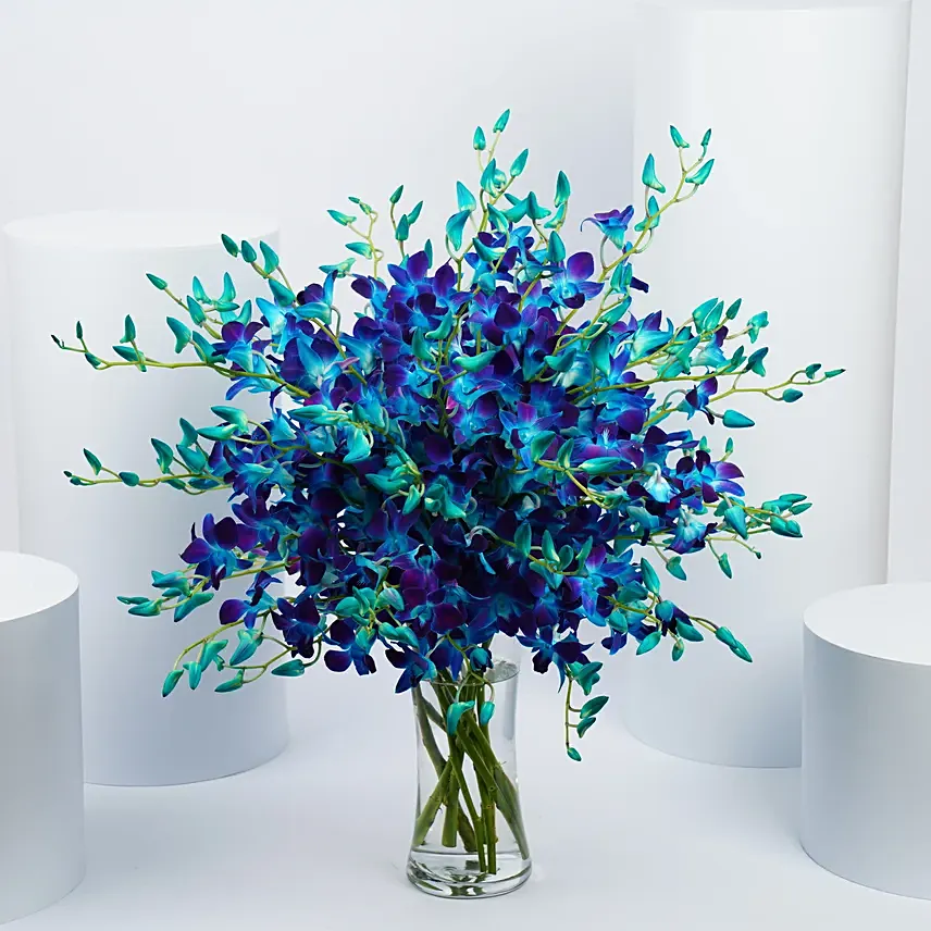 Blue and Purple Orchid Flower Arrangement: Gifts for Dad