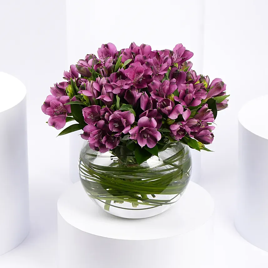 Purple Peruvian Lily Arrangement: 