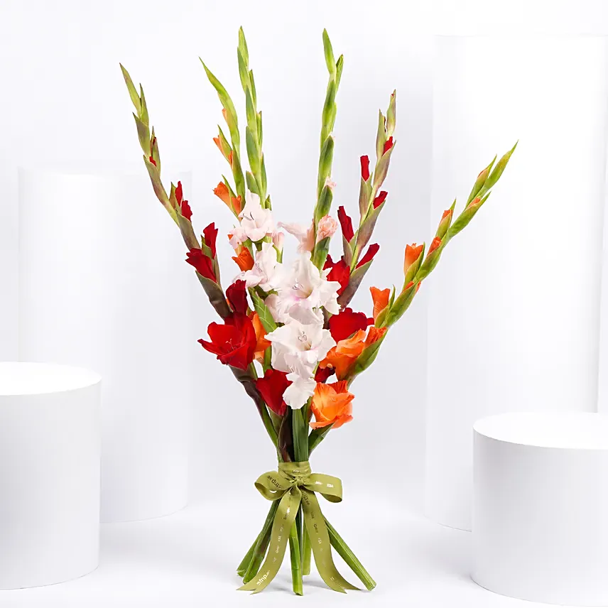 Gladiolus Mix Color Bouquet: 