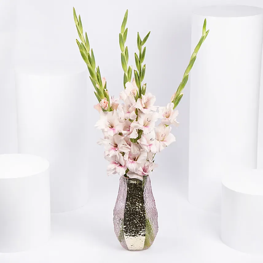 Pink Gladiolus In Premium Vase: 