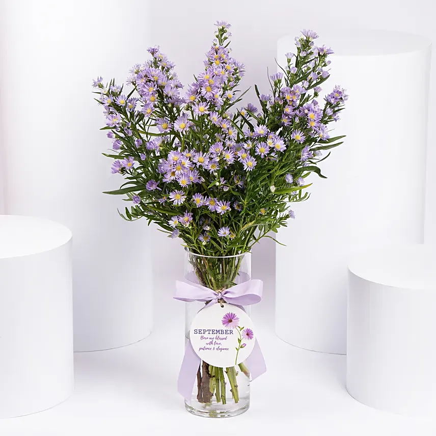 September Birthday Aster Flowers Vase: Aster Flowers