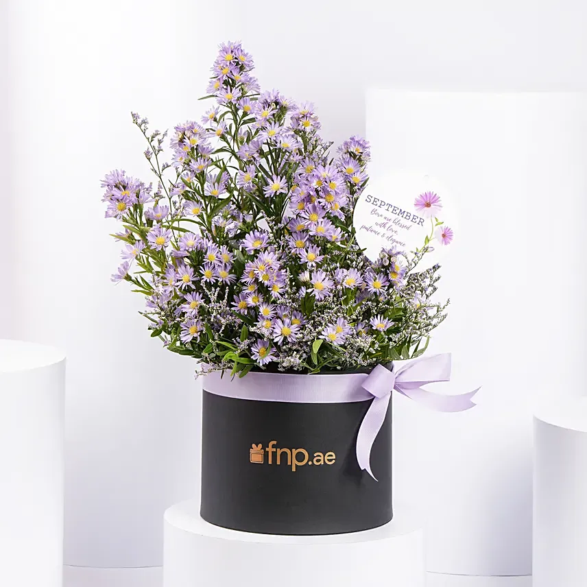 September Birthday Wishes Aster Flowers in a box: Birthday Gift Ideas