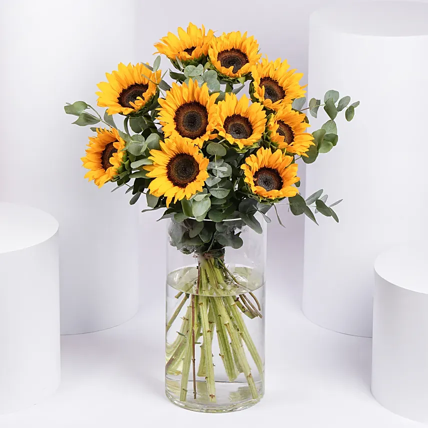 Sun Kissed Sunflowers: Gift Delivery Abu Dhabi