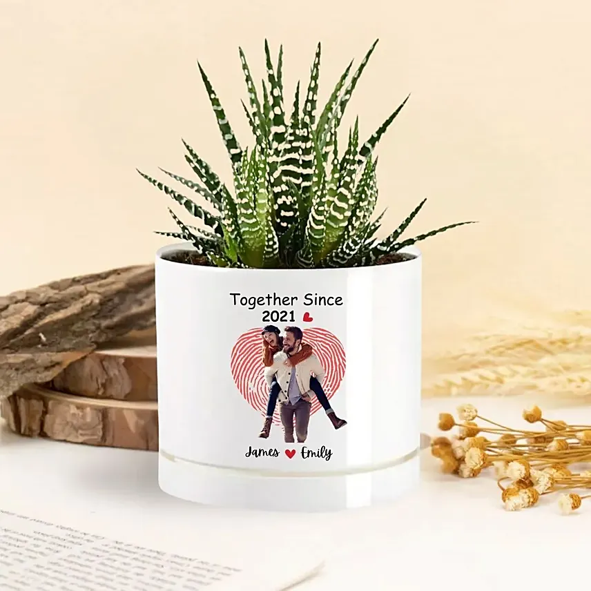 Together Forever Echeveria Plant: 