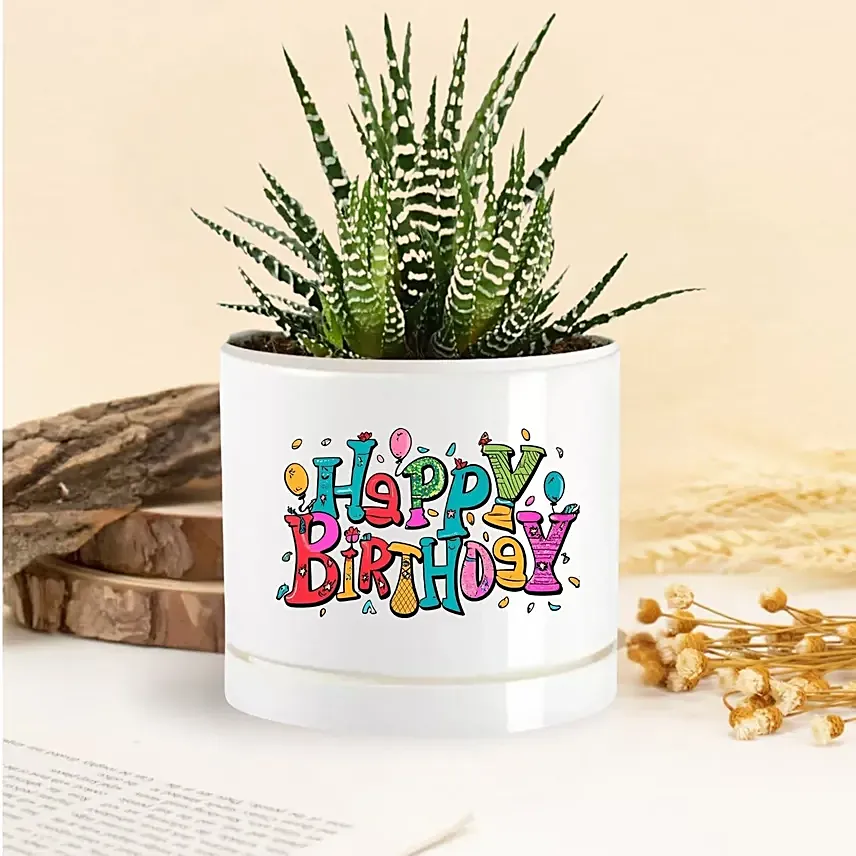 Birthday Cheer Echeveria Plant: Personalised Planters