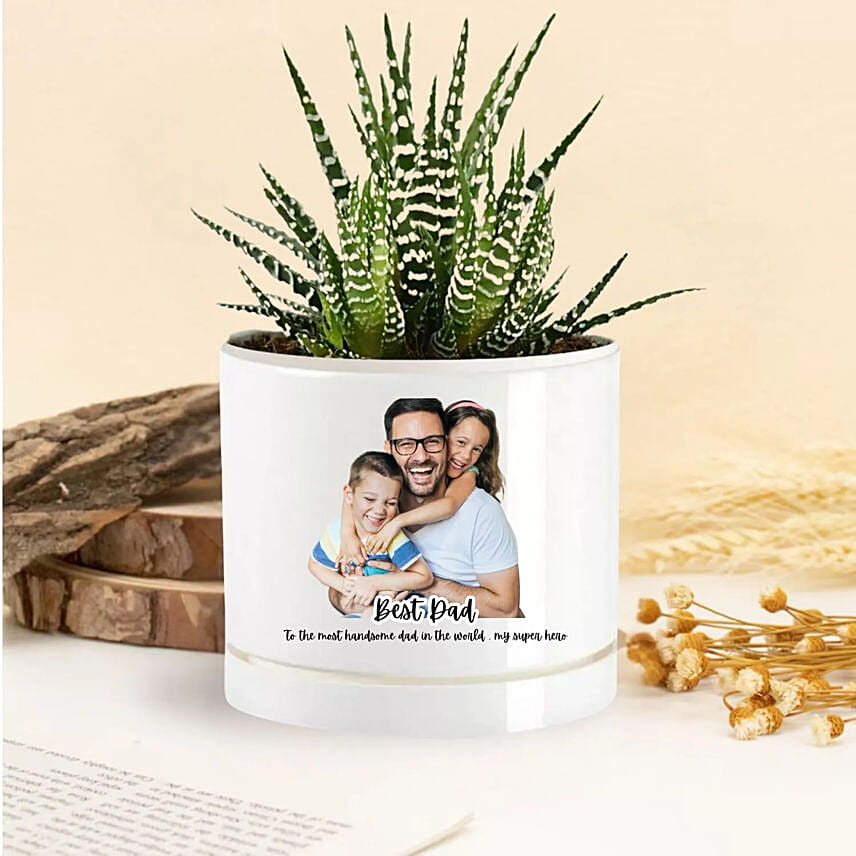 Dad Heroic Love Echeveria Plant: 