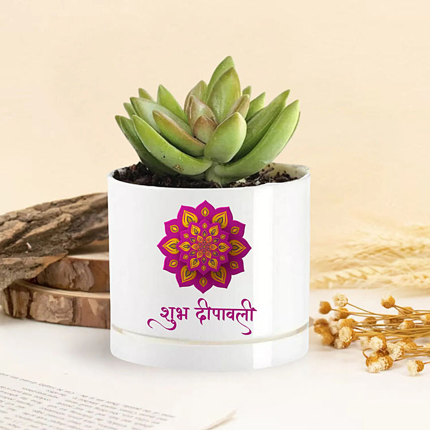 Echeveria Plant Shubh Diwali Vase: Personalised Planters