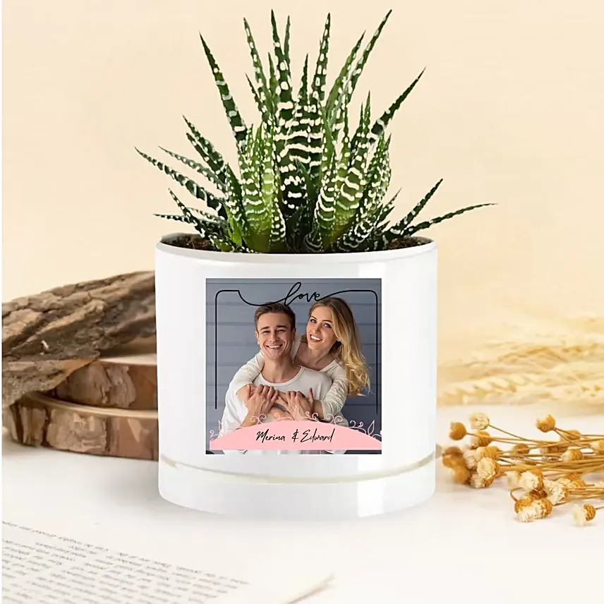 Love Blossoms Echeveria Plant: Personalised Planters