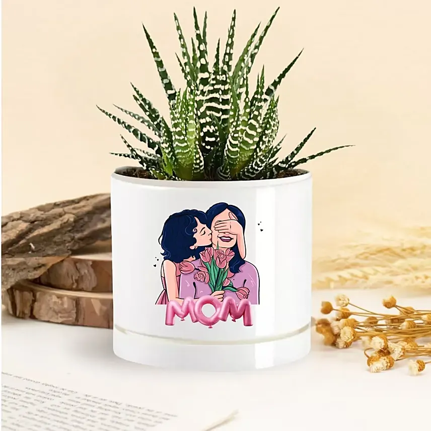 Mom Love Blooms Echeveria Plant: Personalised Planters