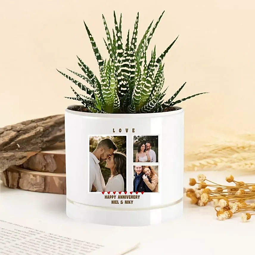 Moments Of Love Echeveria Plant: Personalised Planters