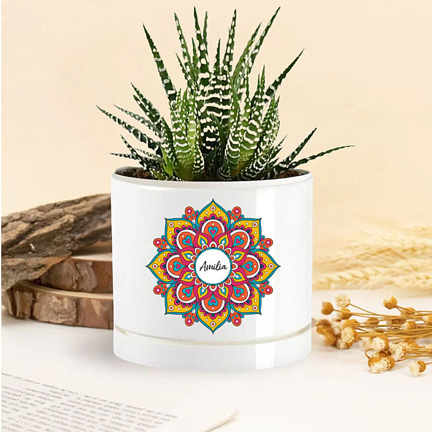 Personlised Haworthia Plant: Gifts For Holi