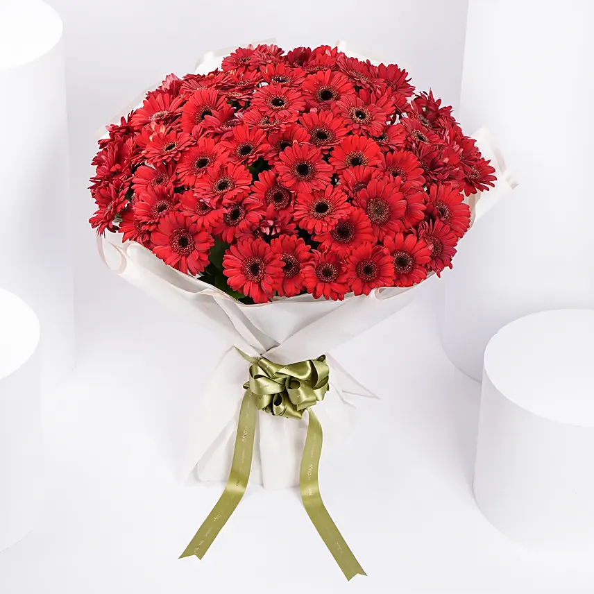 100 Red Gerbera Bouquet: Gerberas Flower Bouquets