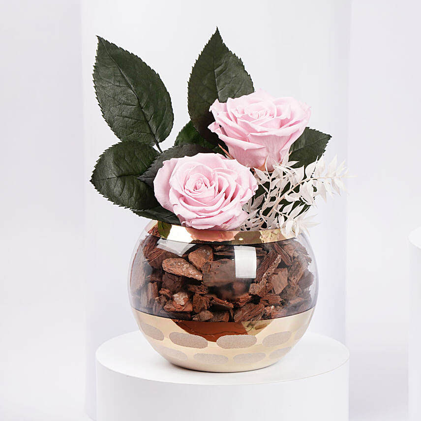 Duo of Pink Preserved Rose in Premium Vase: Forever Roses