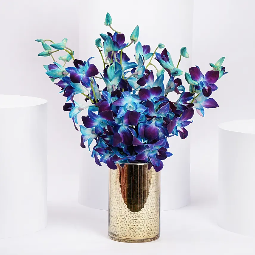 Mesmerizing Blue Orchids: Emirati Women's Day Gifts