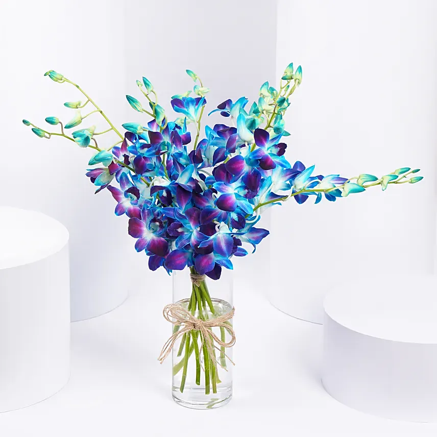 Mesmerizing Blue Orchids: Same Day Delivery Gifts for Mothers Day