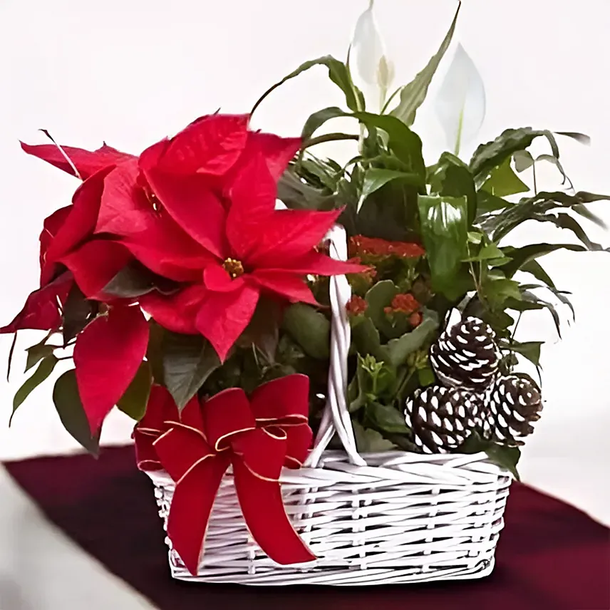 Peace Lily And Poinsettia Plant: Send Gifts to Philippines