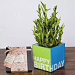 3 Layer Bamboo Plant and Mirzam Chocolates for Birthday