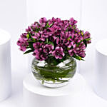 Purple Peruvian Lily Arrangement