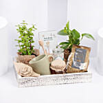 Housewarming Wishes Gift Hamper