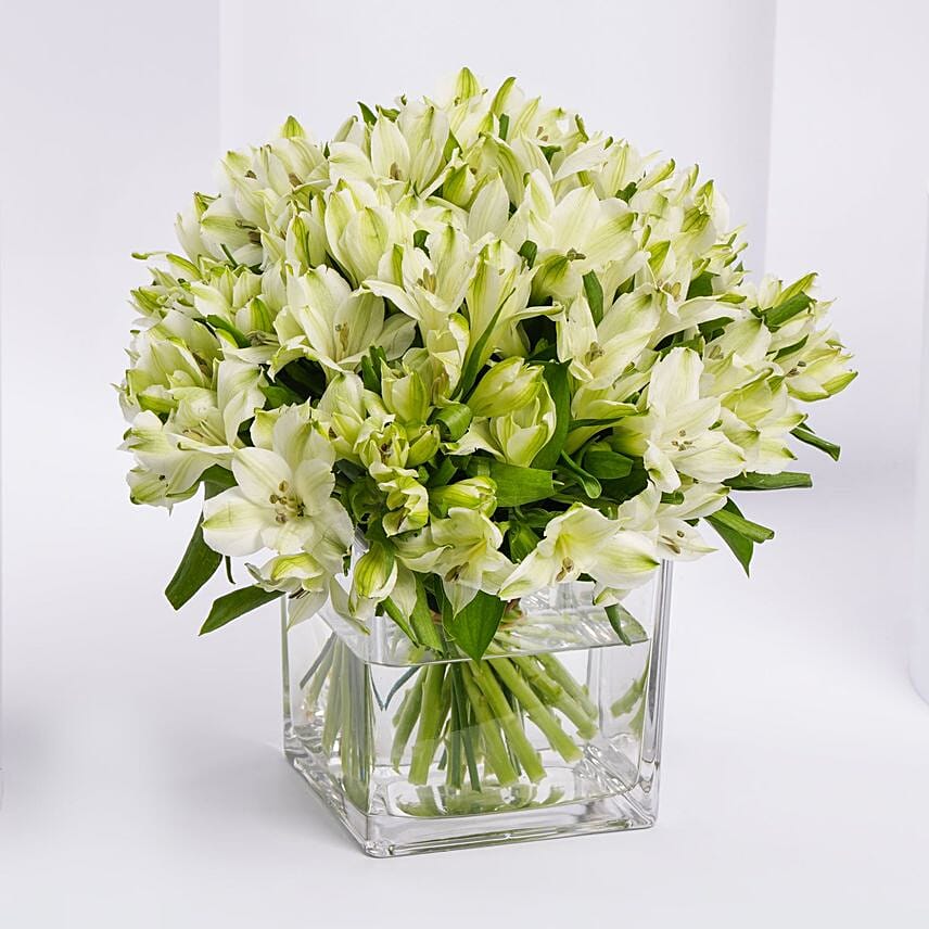 White Alstroemeria 30 In Vase: توصيل ورد في السعودية