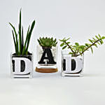 Trio of Plants for DAD