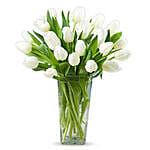 20 White Tulips