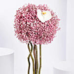 Pink Gypso Beauty Arrangement