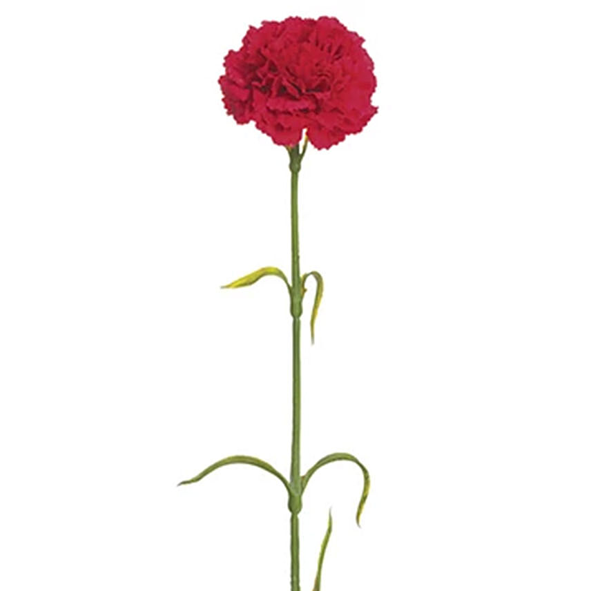 Artificial Red Carnations