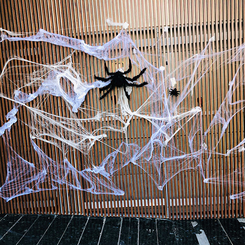 Spider Web Wall