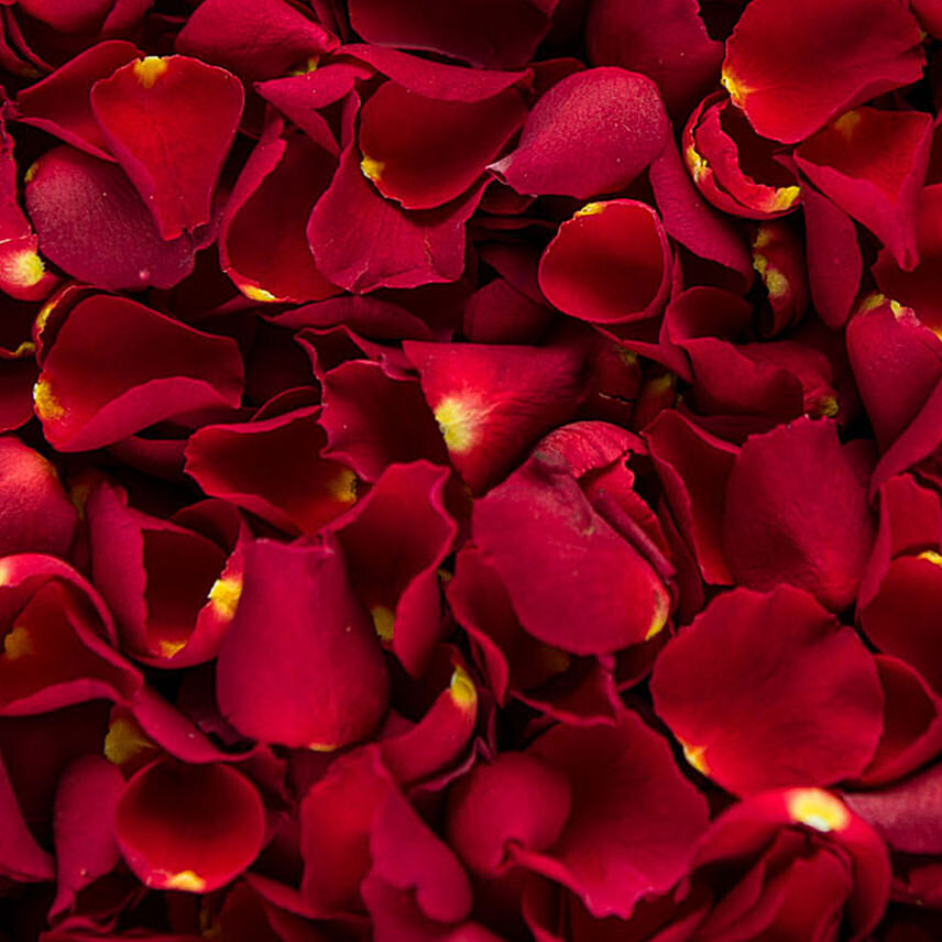 Rose petals deals for sale