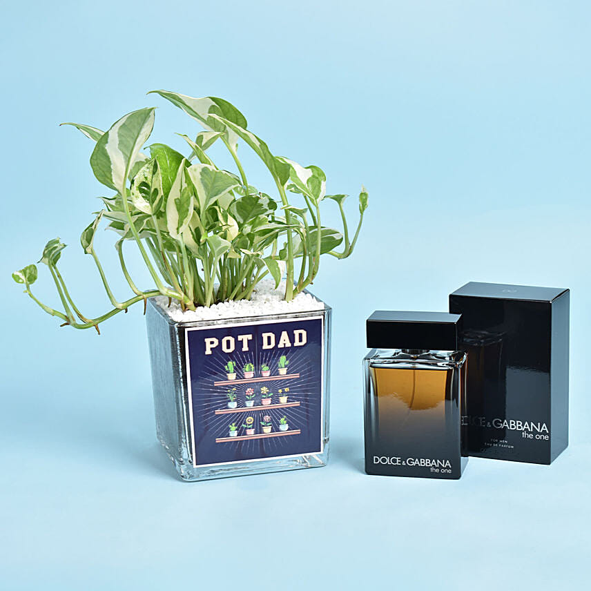 Pot Dad Plant and Perfume Combo