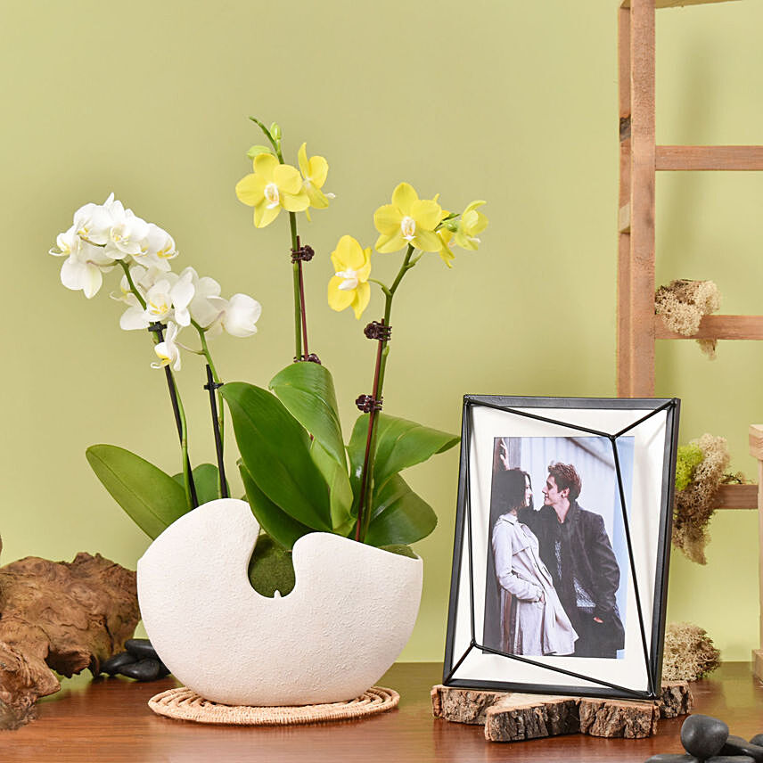 Mini Orchids with Photo Frame