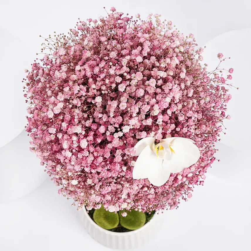 Online Pink Gypso Beauty Arrangement Gift Delivery in UAE - FNP