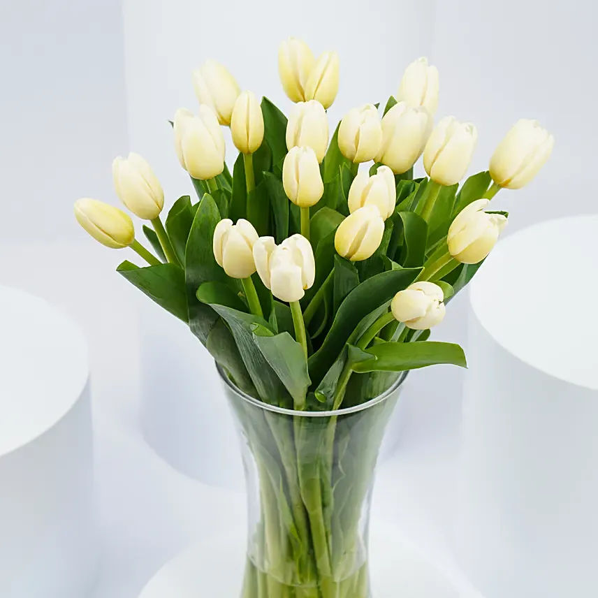 Flower Flower Arrangement Tulips Flowers