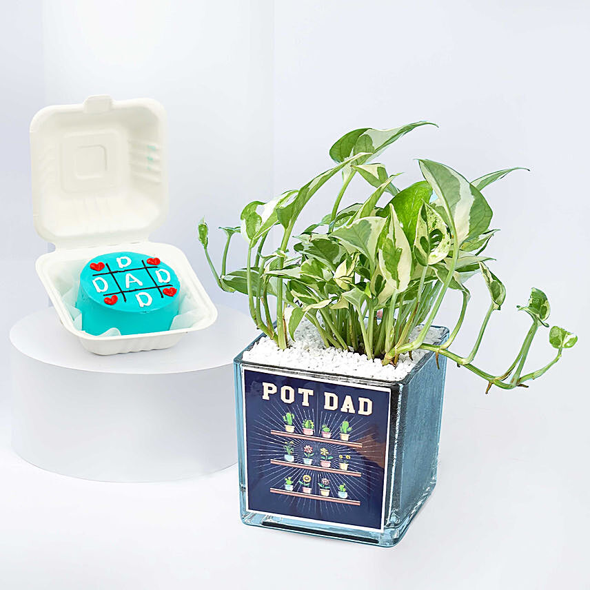 Pot Dad Plant and Cake Combo
