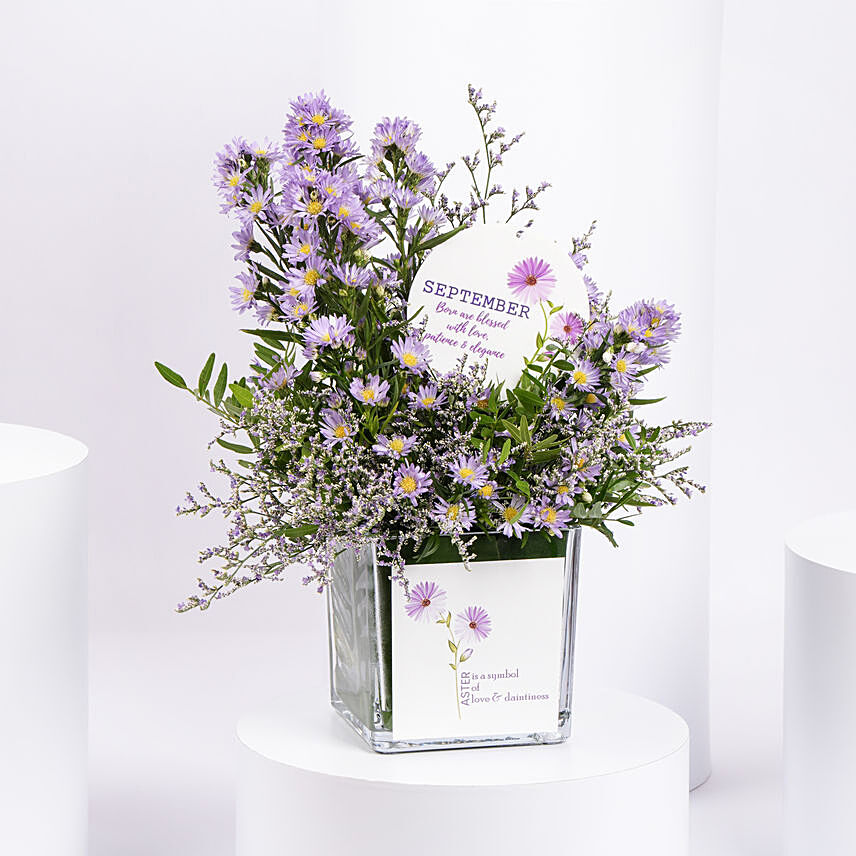 September Birthday Aster Flowers in Vase