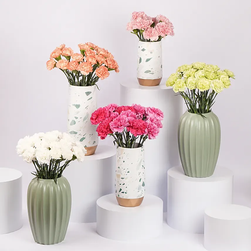 Carnations Arrangement in Premium Vases