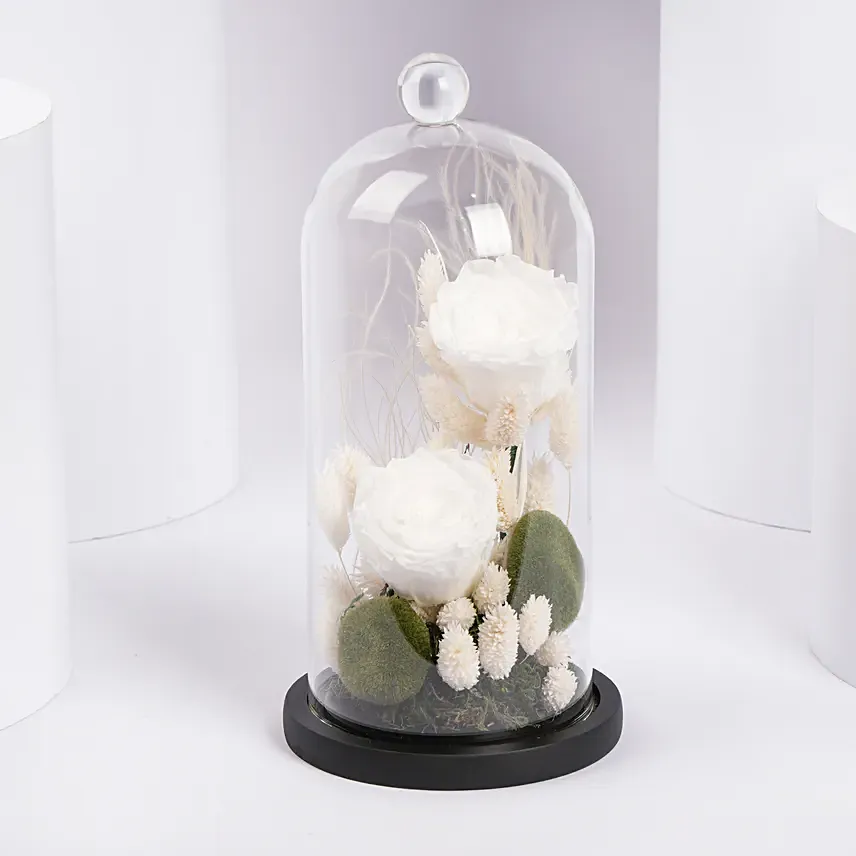 White Eternal Rose In A Glass Dome