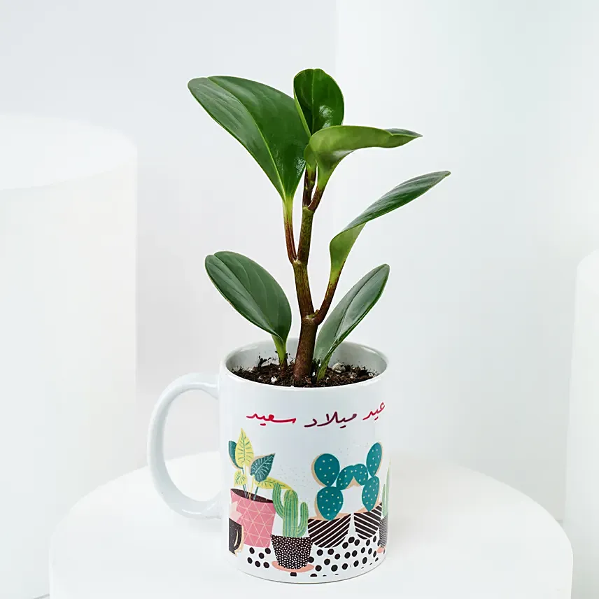 Peperomia Plant Birthday Mug